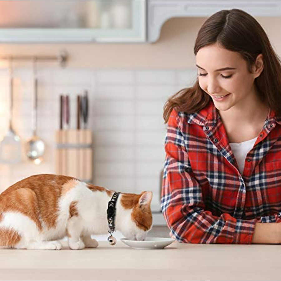 2 adet ayrılabilir kedi tasmal - Glow In Dark Stars incelemesi ve fiyatı