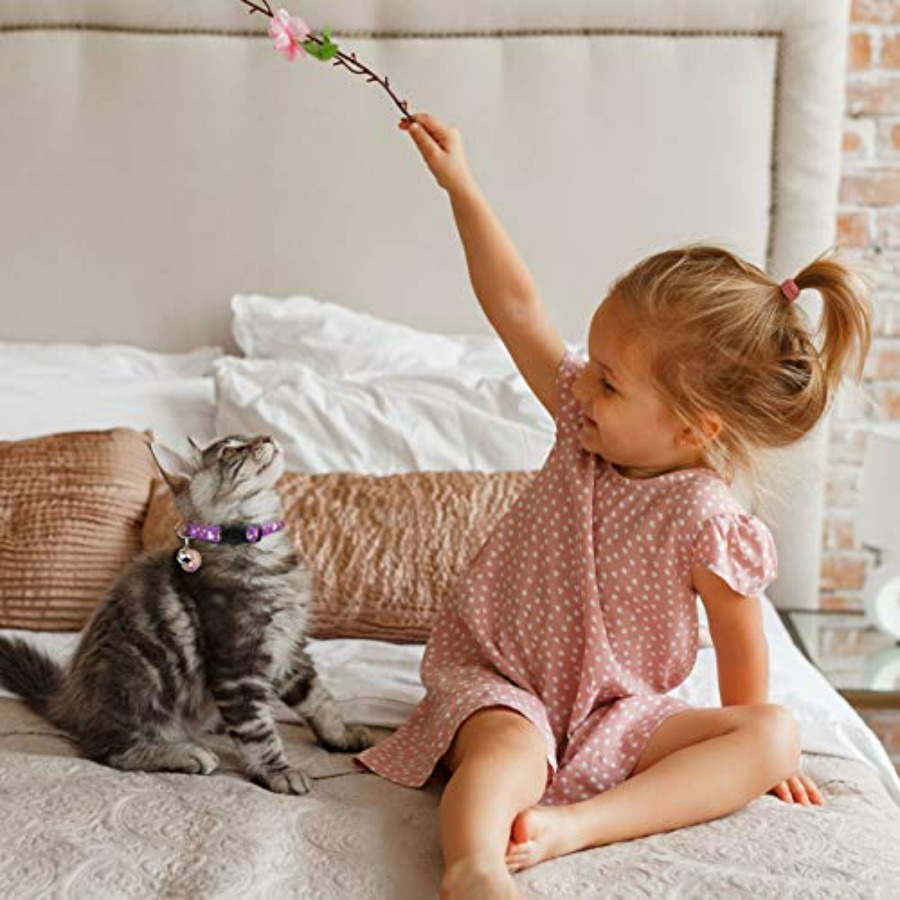 2 adet ayrılabilir kedi tasmal - Glow In Dark Stars incelemesi ve fiyatı